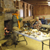 Toni Roberts giving talk on medicinal mushrooms at Fall Creek Falls State Park